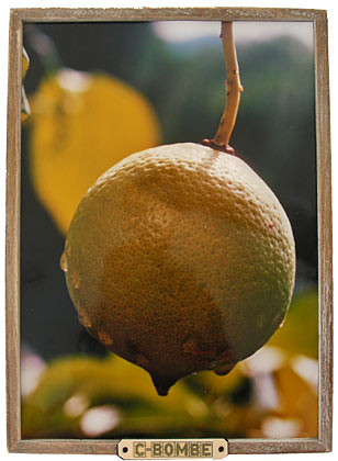 zur&uuml;ck zu den  arbeiten