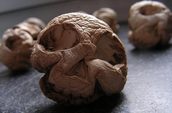 zur&uuml;ck zu den  arbeiten