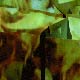 carmen casty - protest - animation