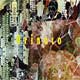 orinoco - gisoo kim und ben neumann