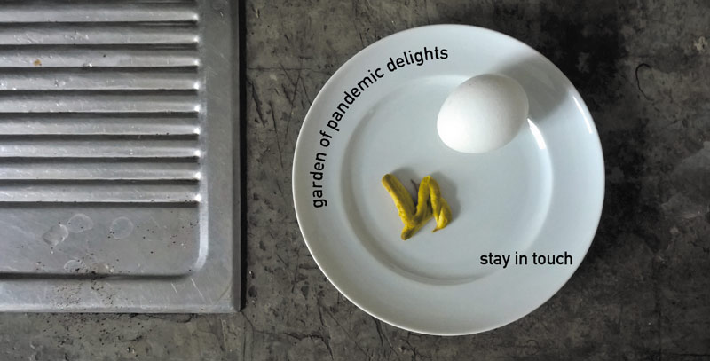 pandemic garden of delight