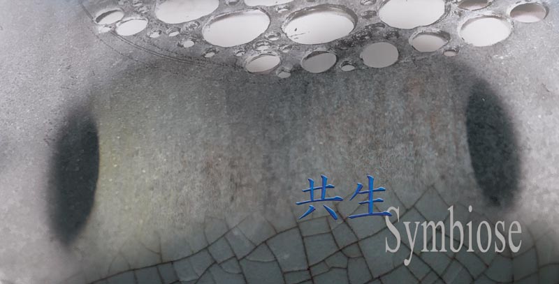 symbiose