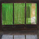 chun jin sook