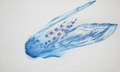 zur&uuml;ck