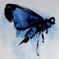 falter