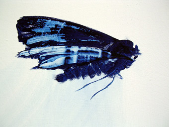 back