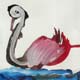 vogelbild
