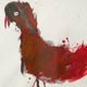 vogelbild