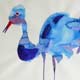 vogelbild