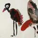 vogelbild