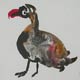 vogelbild