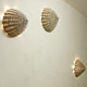 3 lightlinge