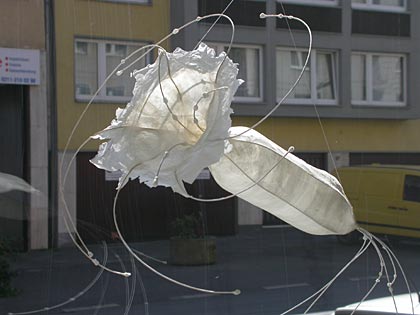 zur&uuml;ck