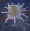 national flower of scotland